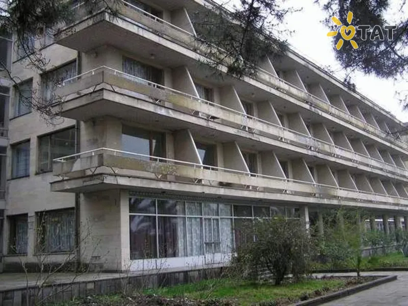 Сосновая роща