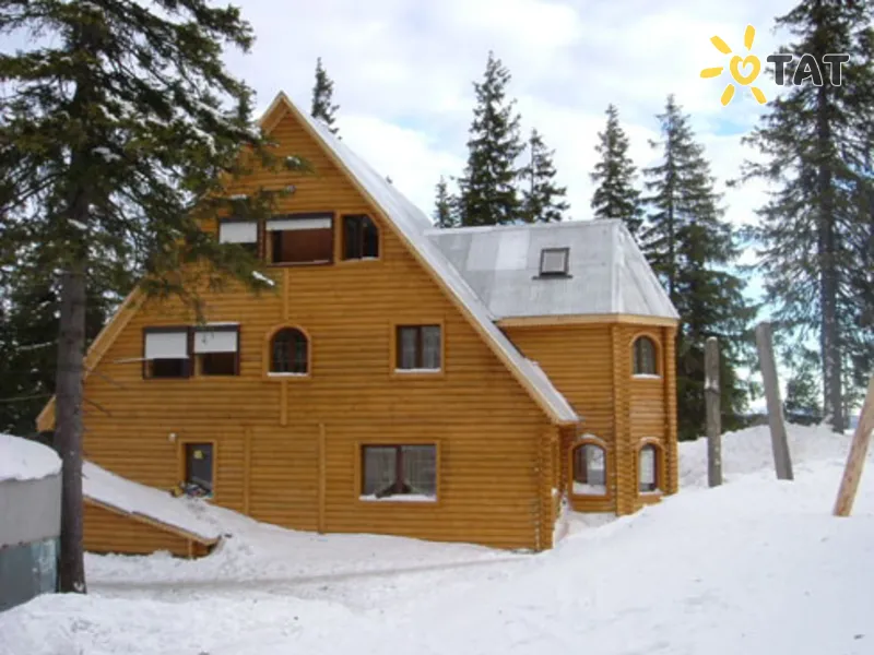 Большая медведица