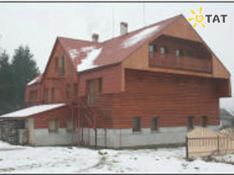 Карпатская Орхидея