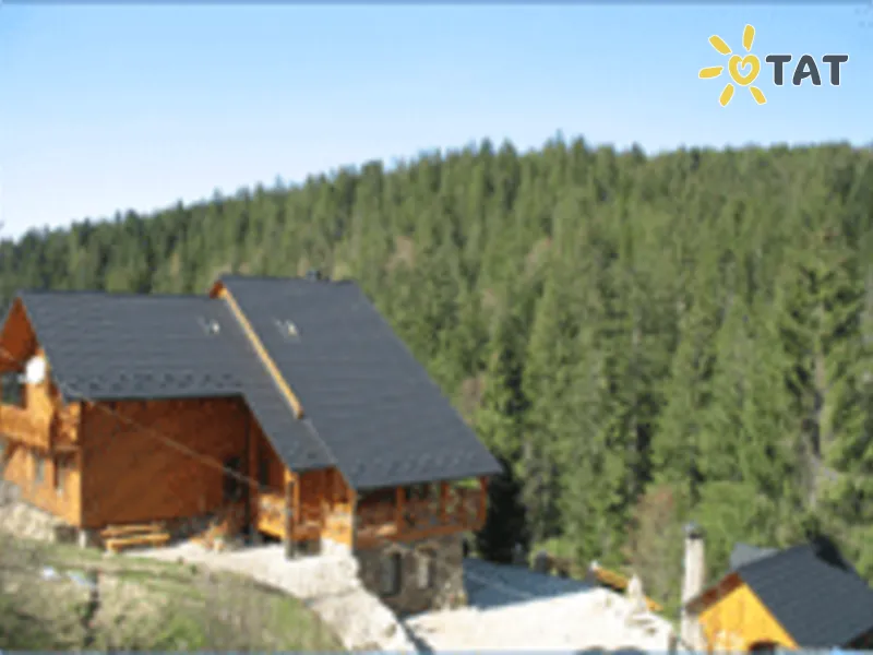 Карпатская вилла