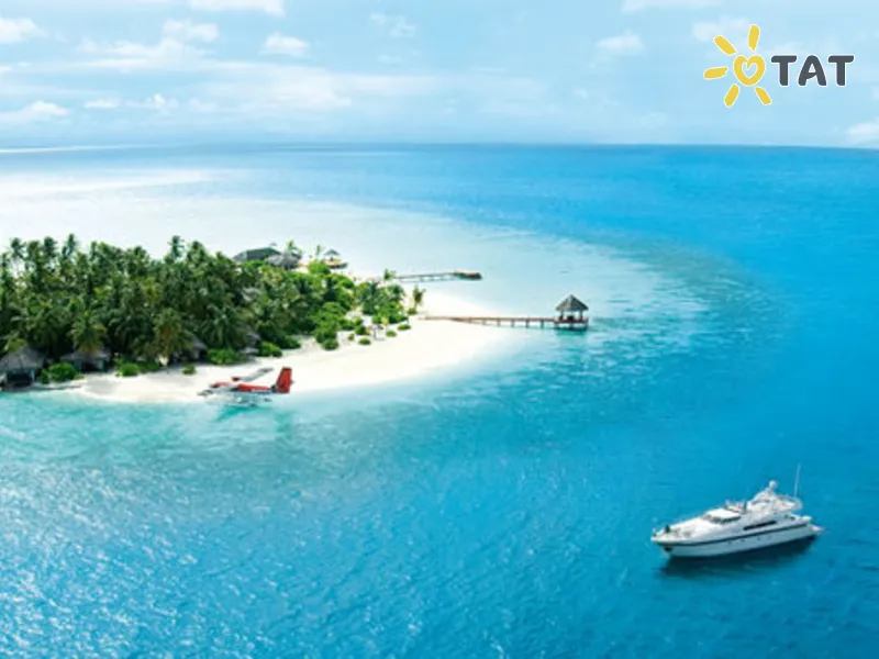 The Rania Experience