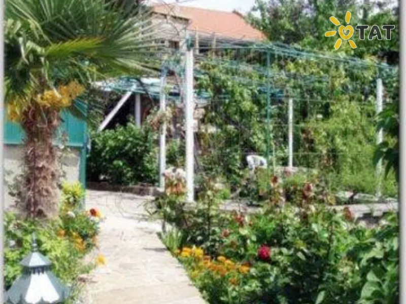 Соколиное Гнездо