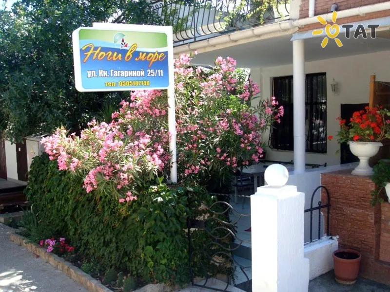 Ноги в Море