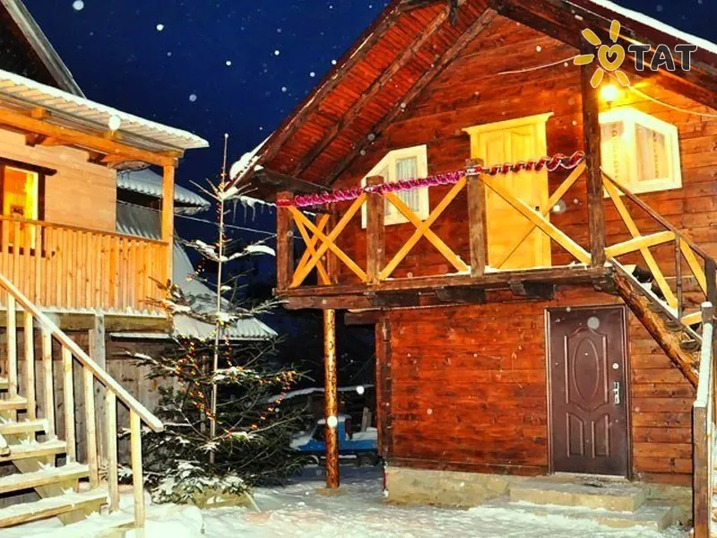 У лісовій казці