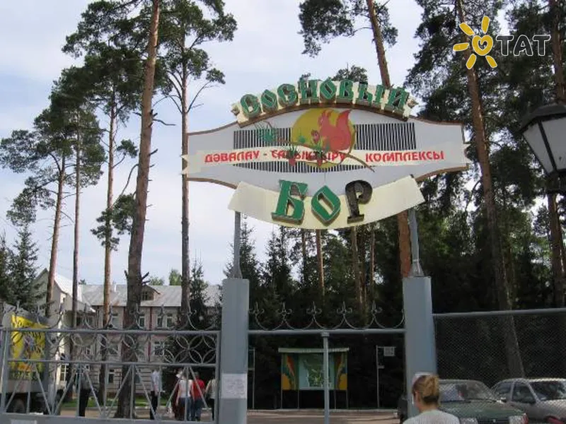 Санаторий Сосновый Бор