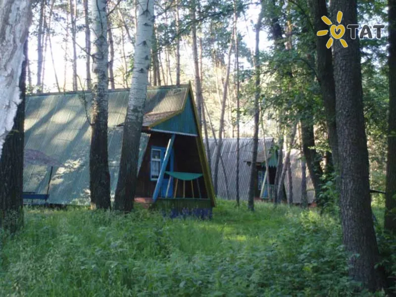 Лесная поляна