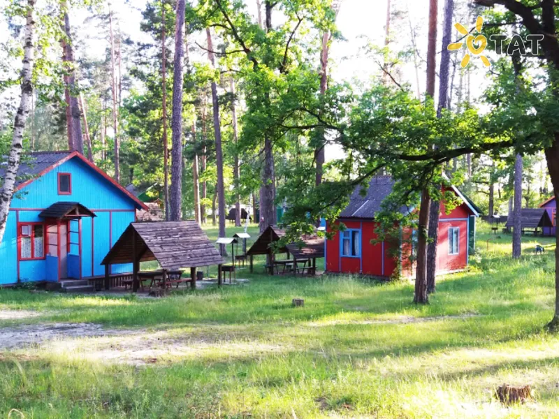 Тетерев Плюс