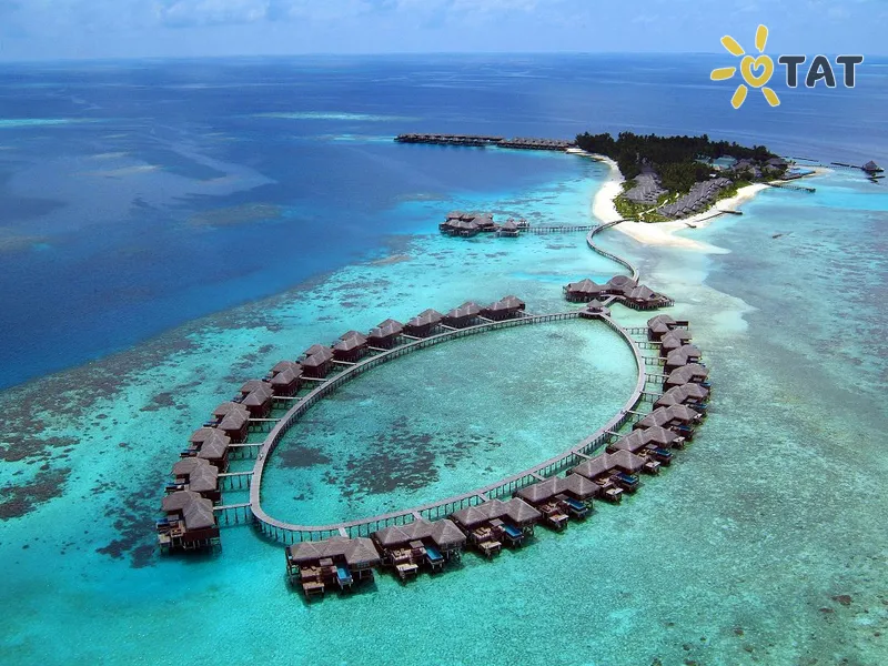 Coco Bodu Hithi