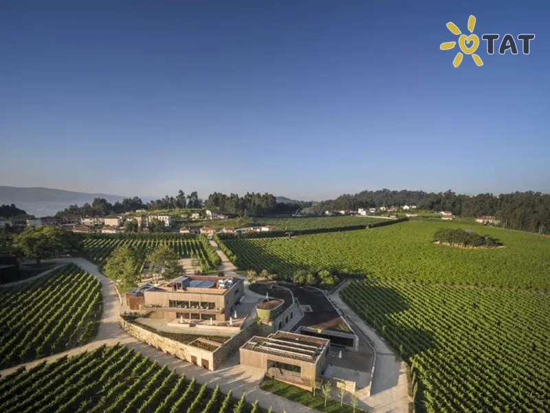 Monverde – Wine Experience Hotel