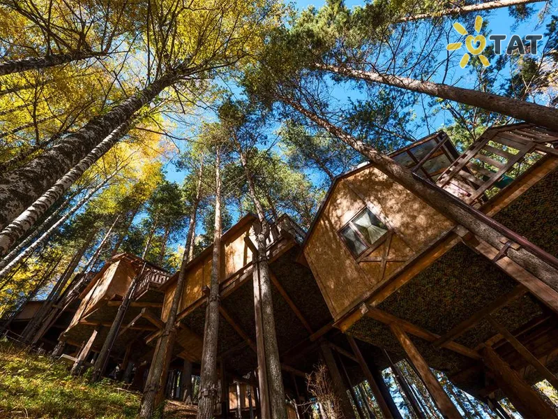 Деревенька на деревьях (Oi-Qaragai)