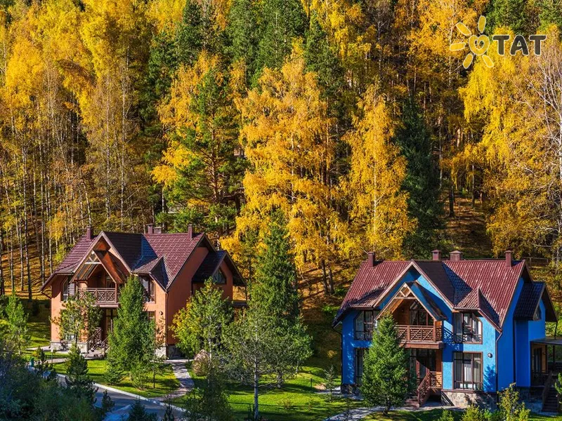 Четыре силы