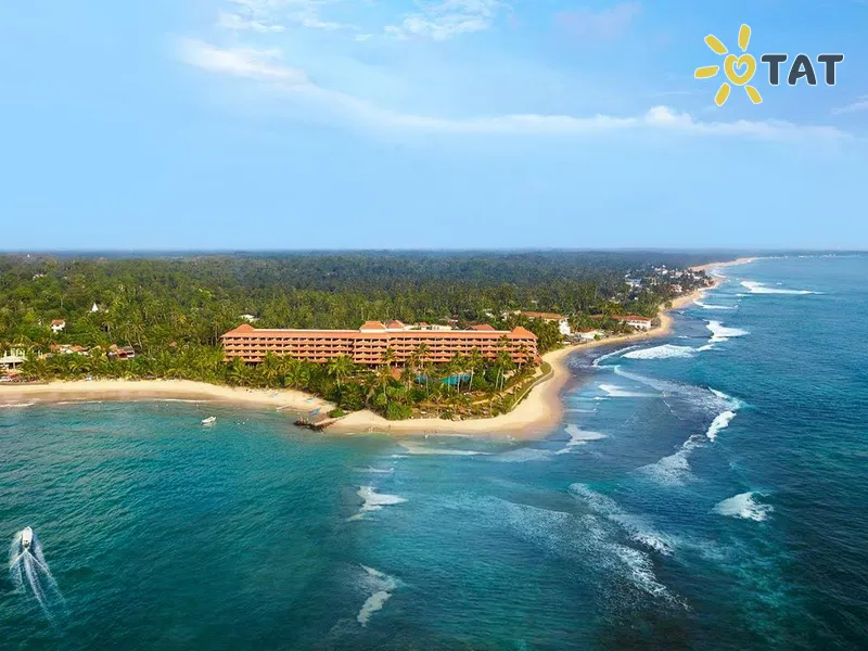 Hikka Tranz by Cinnamon