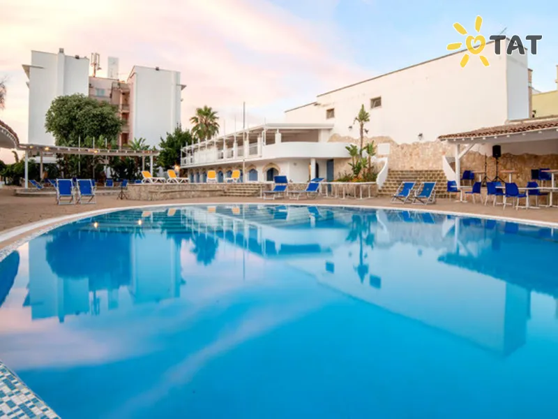 Gatto Bianco Casalabate