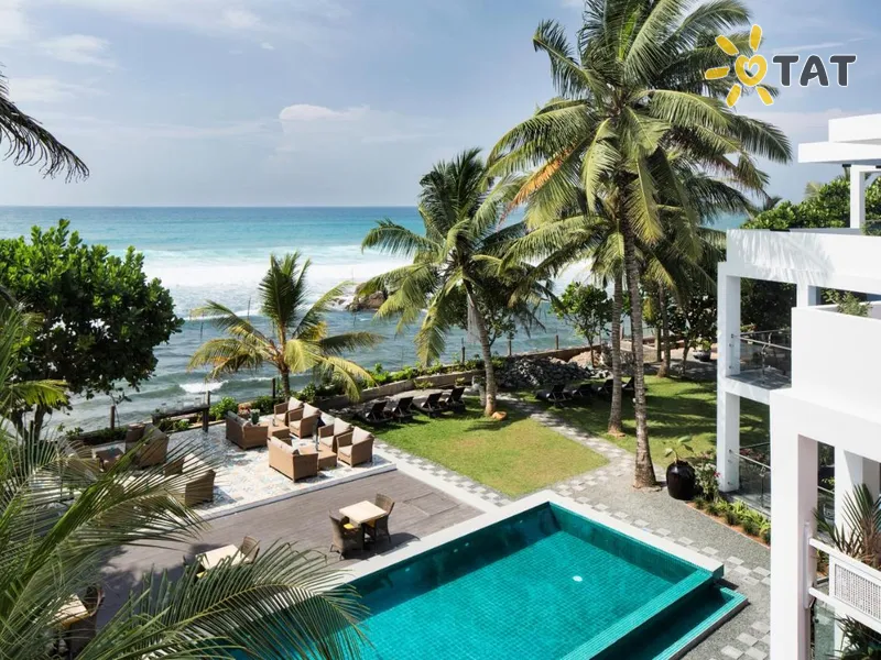 Owl and the Pussycat