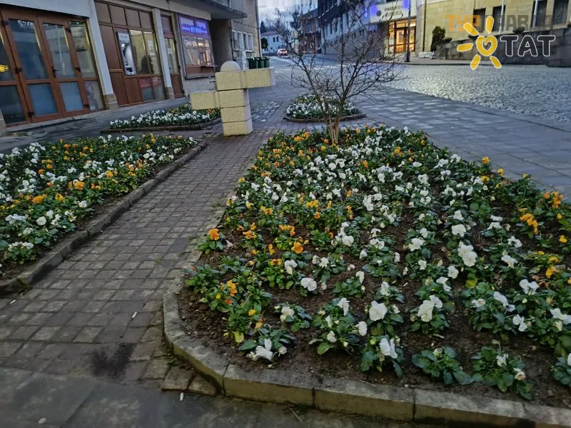 Перун Елена