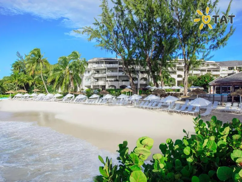 Bougainvillea Barbados