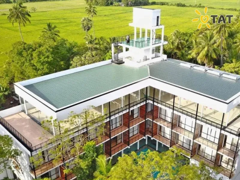 Rain Tree by Oak Ray