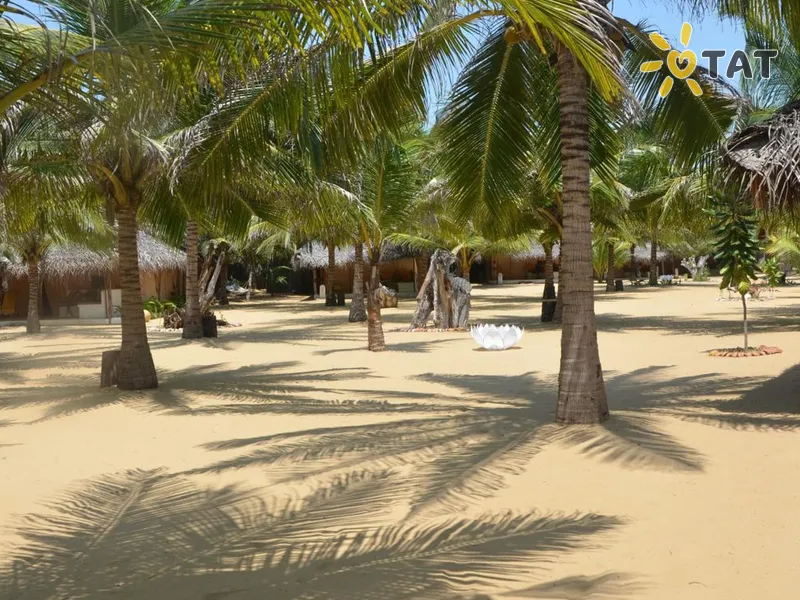 Dolphin Beach Resort
