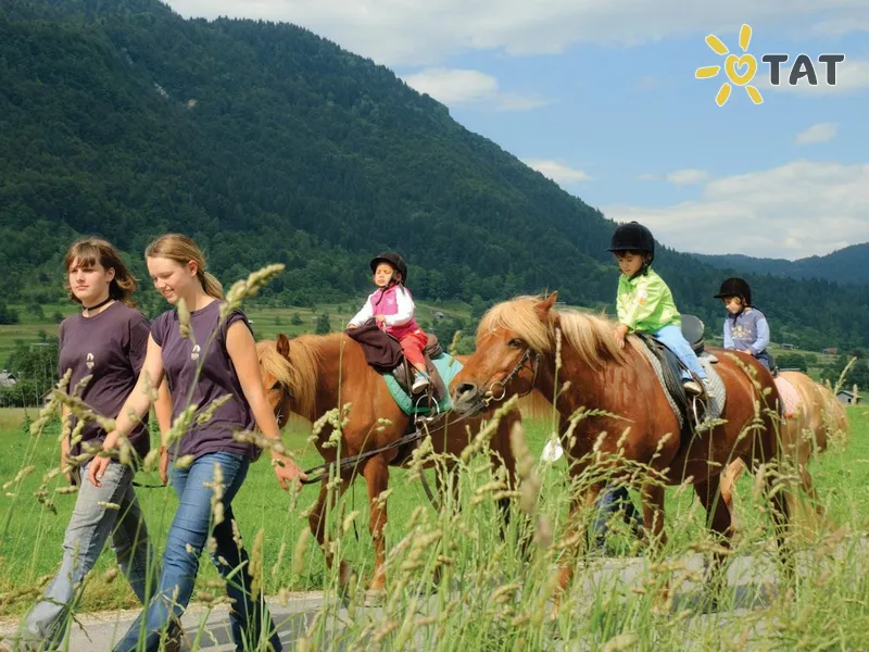 Bohinj Eco Hotel