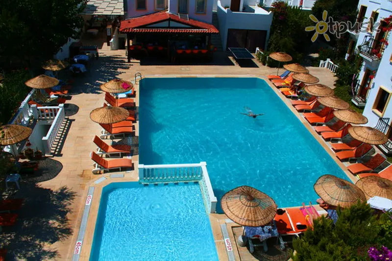 Фото отеля Alta Beach Hotel 3* Бодрум Туреччина екстер'єр та басейни