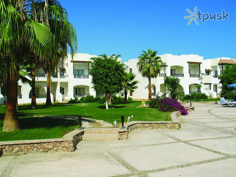 Фото отеля Poinciana Sharm Resort 4* Шарм ель шейх Єгипет екстер'єр та басейни