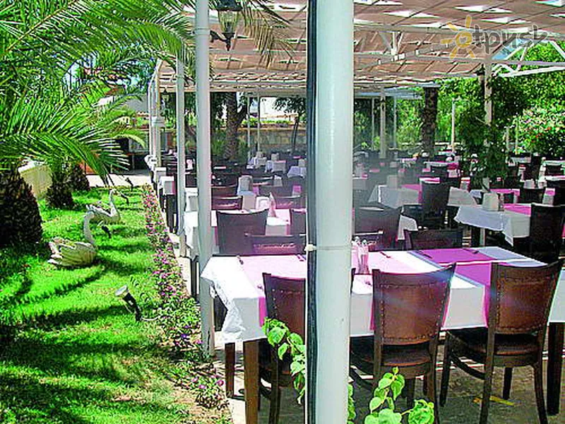 Фото отеля Seda Arinna Hotel 4* Bodruma Turcija bāri un restorāni