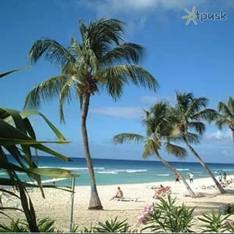 Фото отеля Coconut Court Beach Hotel 3* Бриджтаун Барбадос пляж