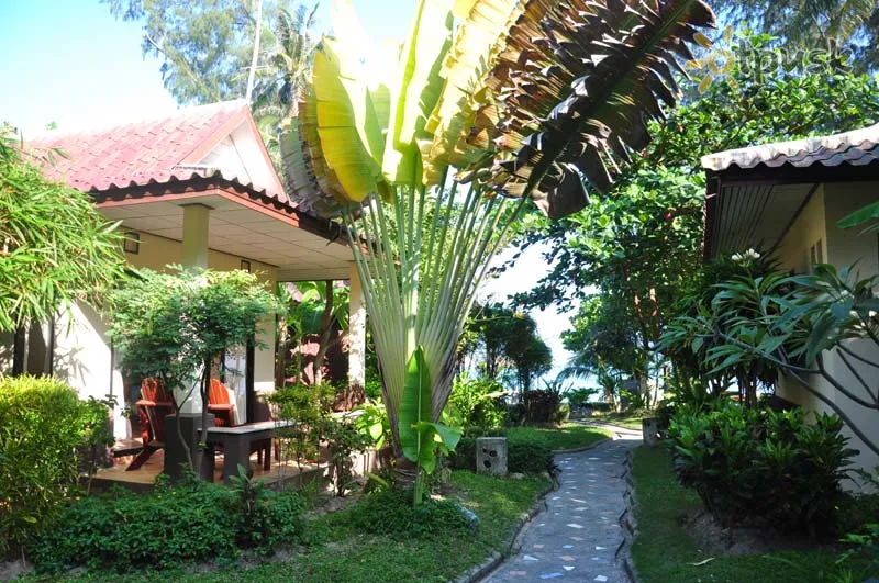 Фото отеля Samui Honey Cottages & Resort 3* о. Самуи Таиланд