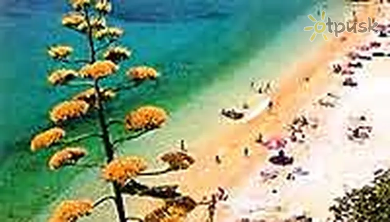 Фото отеля Sipan 2* Дубровник Хорватія пляж