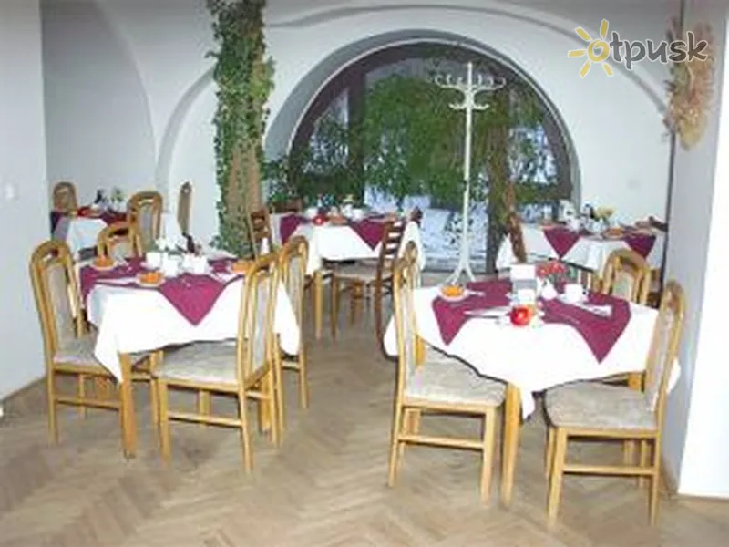 Фото отеля Libuse 3* Подебрады Чехия бары и рестораны