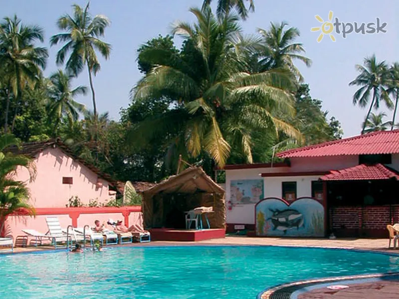 Фото отеля Dona Terezinha Hotel 2* Šiaurės Goa Indija išorė ir baseinai