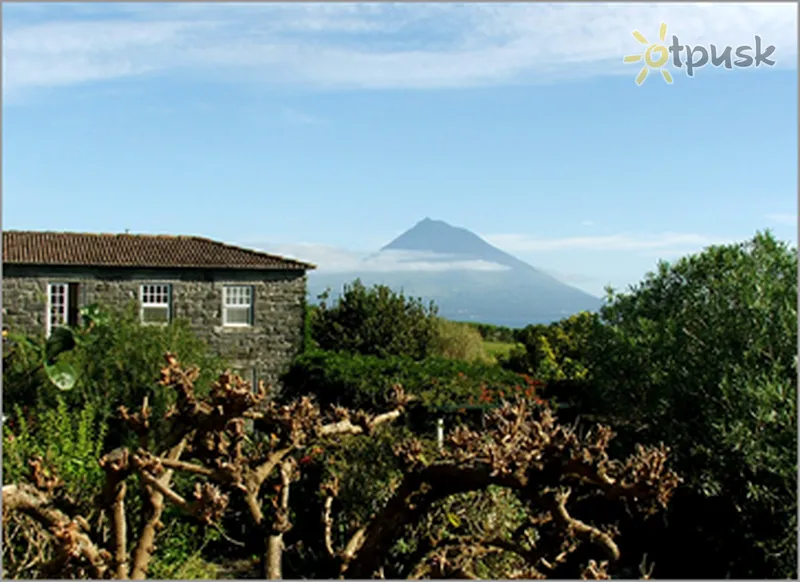 Фото отеля Quinta das Buganvilias 3* Орта (о. Фаял) Португалия