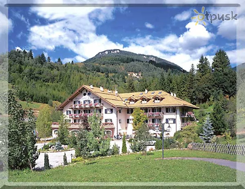 Фото отеля Rio Stava Park Hotel 3* Валь-ди-Фьемме Италия экстерьер и бассейны