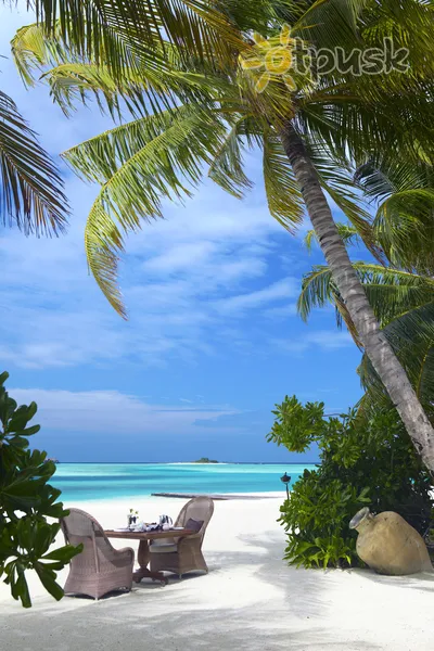 Фото отеля Naladhu Private Island Maldives 5* Южный Мале Атолл Мальдивы пляж