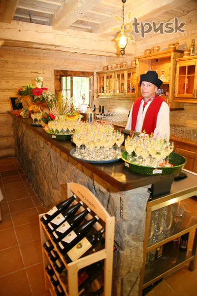 Фото отеля Strachanovka 3* Липтовский Микулаш Словакия бары и рестораны