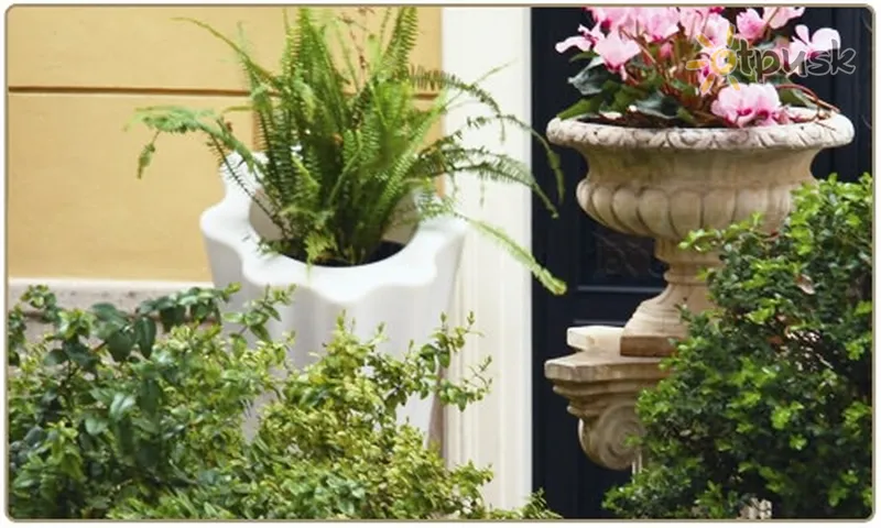 Фото отеля Villa San Lorenzo Maria 3* Roma Italija išorė ir baseinai