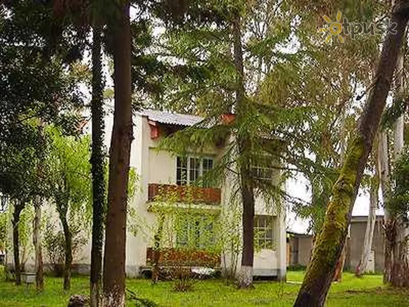 Фото отеля Эвкалиптовая роща 2* Сухуми Абхазия экстерьер и бассейны