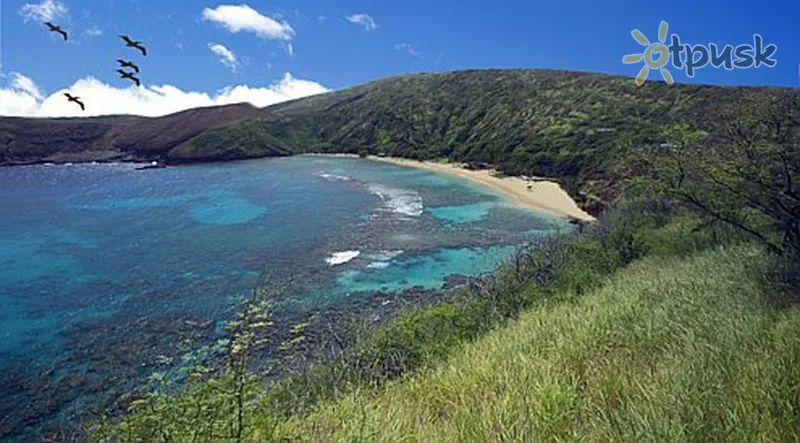 Фото отеля Halekulani 5* Гавайские острова США прочее