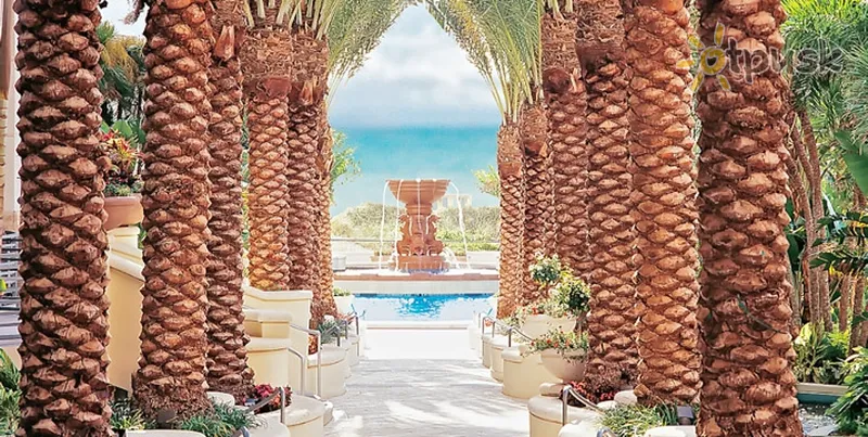Фото отеля Loews Miami Beach Hotel 5* Майами США