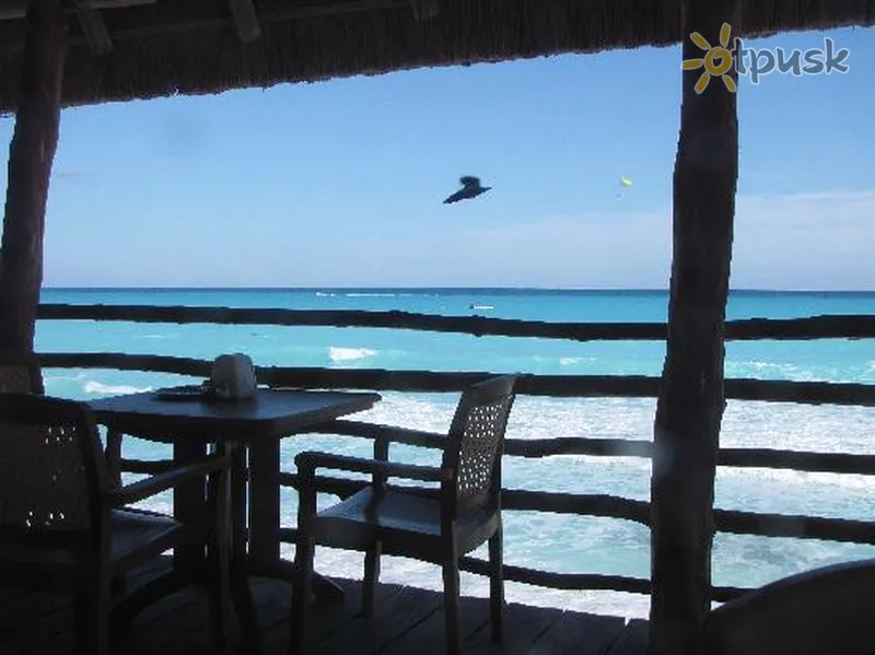 Фото отеля Oleo Cancun Playa 4* Канкун Мексика прочее