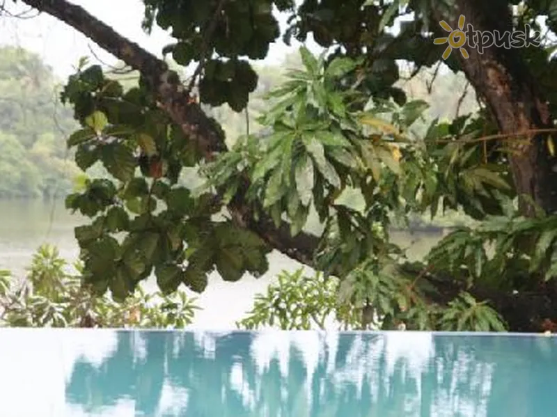Фото отеля White House Villa 4* Хіккадува Шрі Ланка екстер'єр та басейни