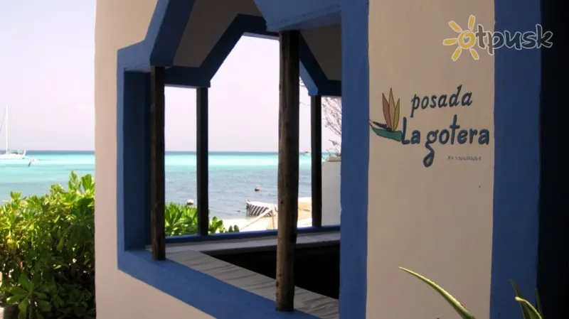 Фото отеля Posada La Gotera 4* Los Roques Venecuēla ārpuse un baseini