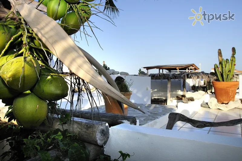 Фото отеля Posada Malibu 4* Лос Рокес Венесуэла экстерьер и бассейны