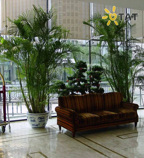 Фото отеля Xiangda International 4* Пекін Китай лобі та інтер'єр