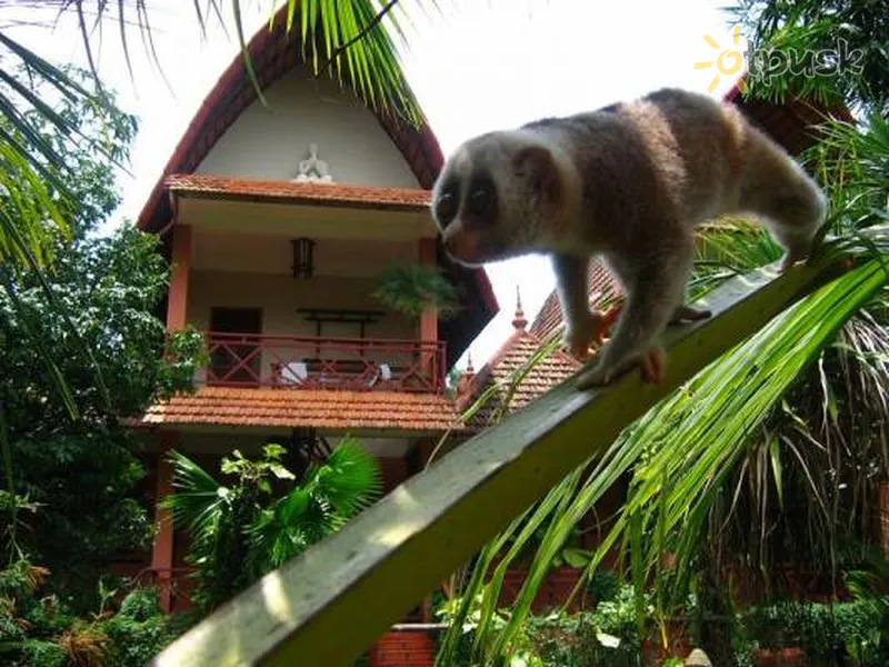 Фото отеля Snake house 3* Сиануквиль Камбоджа прочее