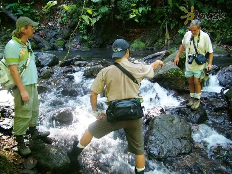 Фото отеля Casa Corcovado Jungle Lodge 4* Оса Коста Рика прочее