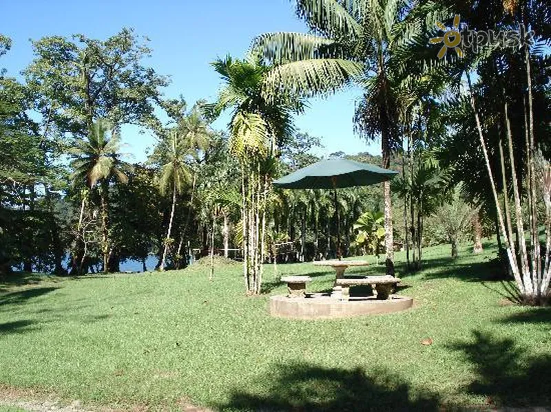 Фото отеля Casa Corcovado Jungle Lodge 4* Оса Коста Рика экстерьер и бассейны