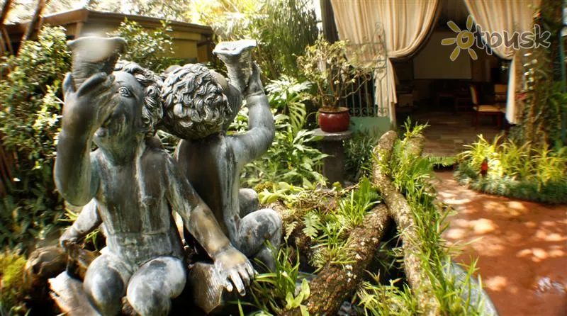 Фото отеля Corteza Amarilla Art Lodge Spa 4* Sanhosē Kostarika ārpuse un baseini