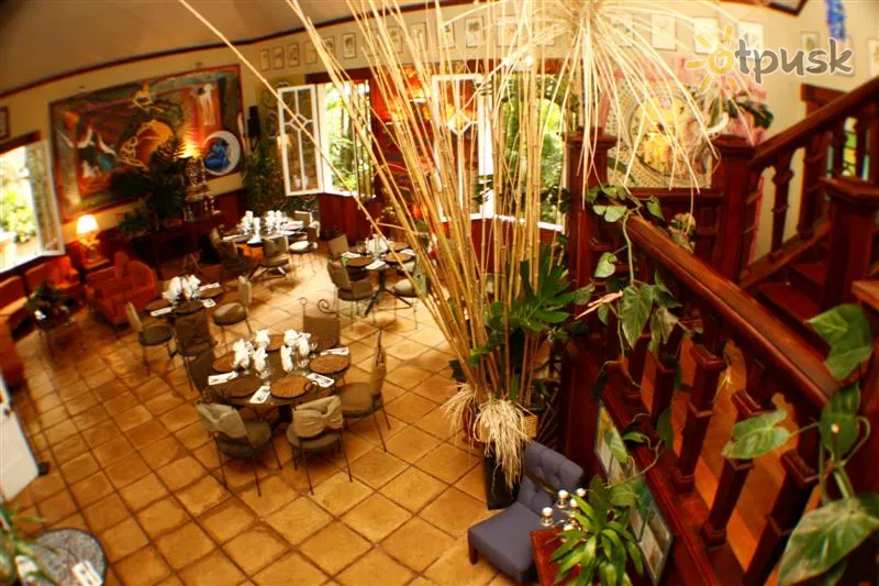 Фото отеля Corteza Amarilla Art Lodge Spa 4* Sanhosē Kostarika ārpuse un baseini