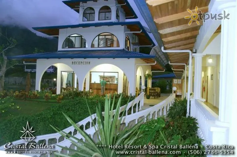 Фото отеля Cristal Ballena 3* Пунтаренас Коста Ріка екстер'єр та басейни